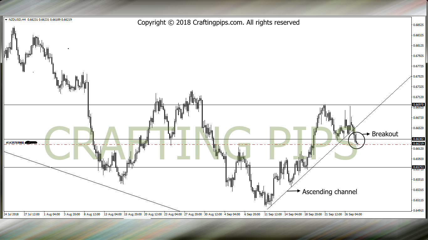 NZD VS USD