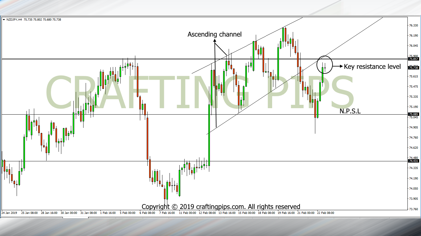 NZD vs JPY